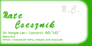 mate csesznik business card